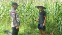 Bhabinkamtibmas Taman Baru Giat Dorong Pemanfaatan Lahan Kosong (1) Bhabinkamtibmas Taman Baru Giat Dorong Pemanfaatan Lahan Kosong