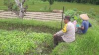 Dari Silaturahmi ke Swasembada Polri dan Warga Montong Are Bersinergi (1) Dari Silaturahmi ke Swasembada Polri dan Warga Montong Are Bersinergi