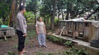 Dukung Program Pangan, Bhabinkamtibmas Aktif Edukasi Petani Senggigi (1) Dukung Program Pangan, Bhabinkamtibmas Aktif Edukasi Petani Senggigi