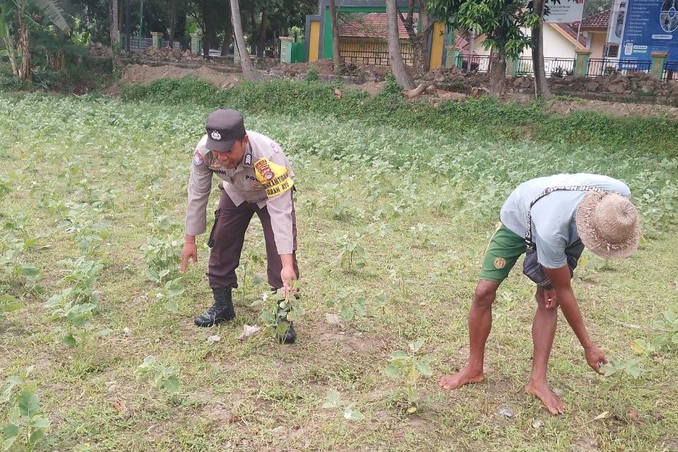 Ketahanan Pangan Lokal, Inisiatif Bhabinkamtibmas di Lombok Barat (1) Ketahanan Pangan Lokal, Inisiatif Bhabinkamtibmas di Lombok Barat