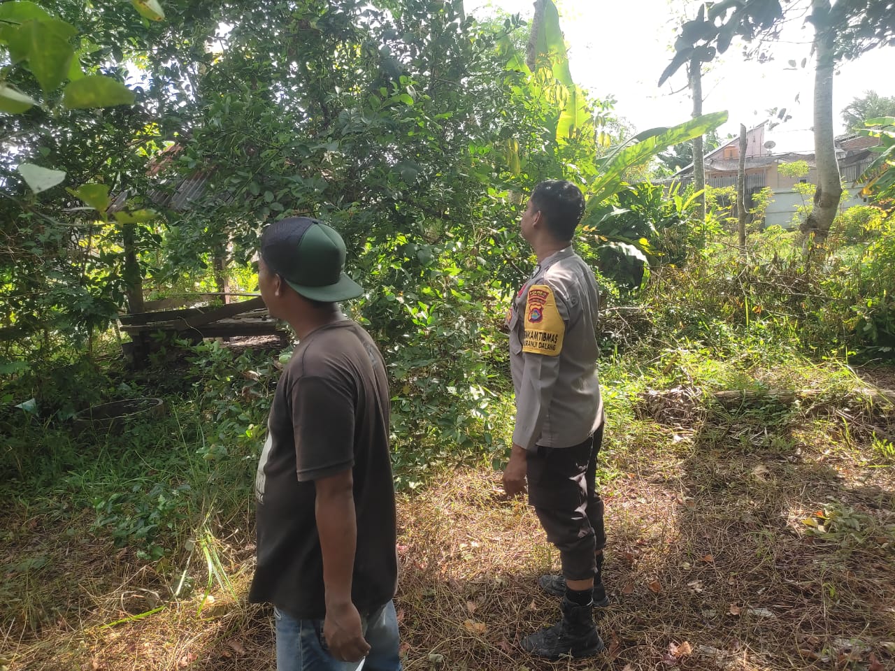 Memperkuat Ketahanan Pangan, Bhabinkamtibmas Kuranji Dalang Gencarkan Kunjungan ke Warga (3) Memperkuat Ketahanan Pangan, Bhabinkamtibmas Kuranji Dalang Gencarkan Kunjungan ke Warga