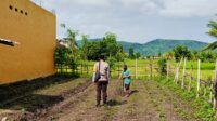 Polri Aktif di Ladang Petani Kediri, Dorong Kesejahteraan dan Ketahanan Pangan (3) Polri Aktif di Ladang Petani Kediri, Dorong Kesejahteraan dan Ketahanan Pangan