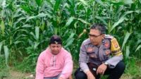 Polri Dampingi Petani Sekotong, Perkuat Ketahanan Pangan (1) Kolaborasi Polri dan Warga Eyat Mayang: Pilar Ketahanan Pangan Lokal