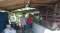 Polri Dukung Swasembada Pangan di Lombok Barat (3) Polri Dukung Swasembada Pangan di Lombok Barat