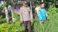 Polri Perkuat Swasembada Pangan di Desa Montong Are (3) Polri Perkuat Swasembada Pangan di Desa Montong Are