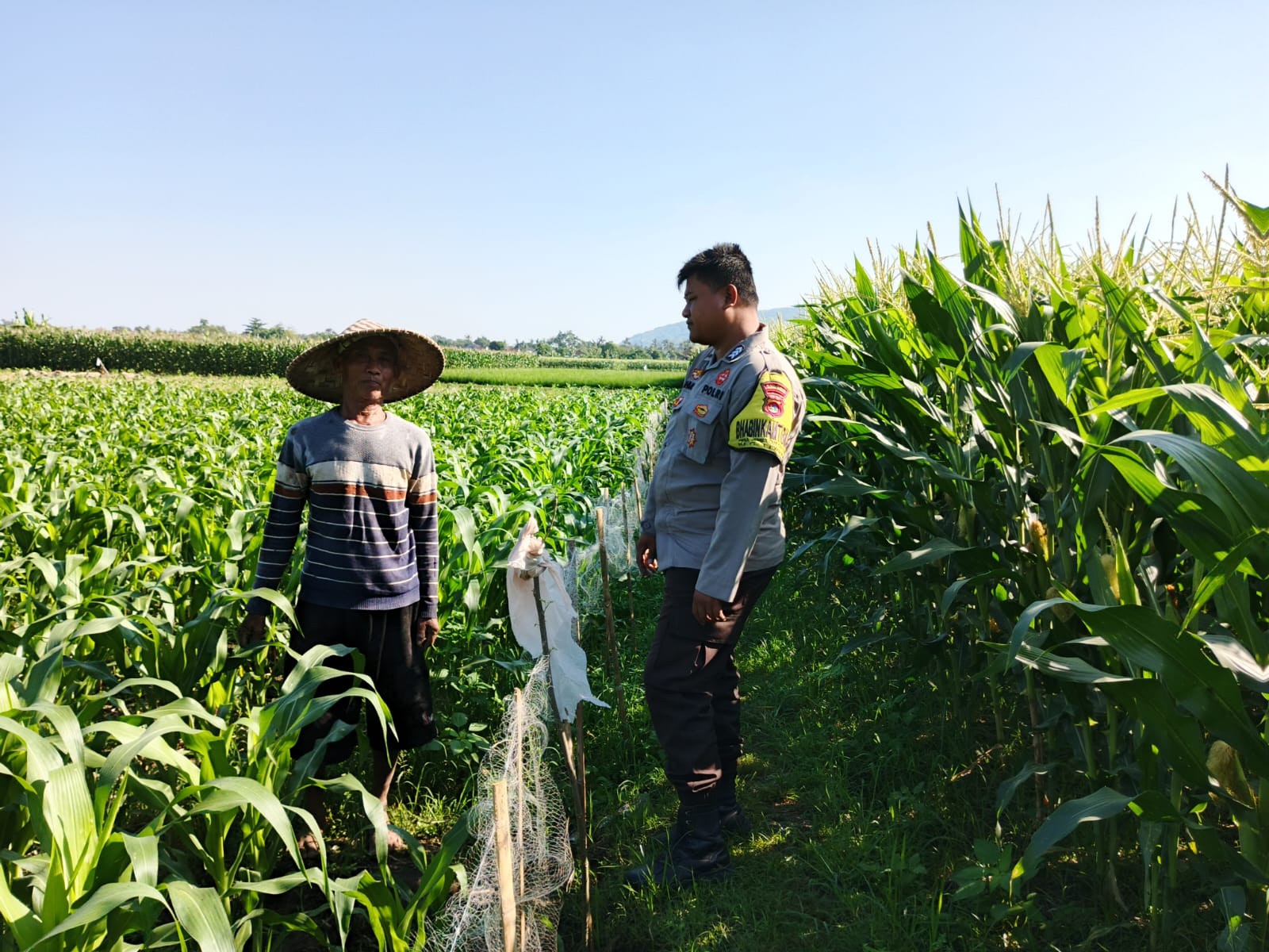 Polri dan Petani Bersinergi Wujudkan Ketahanan Pangan di Lembar, Lombok Barat (1) Polri dan Petani Bersinergi Wujudkan Ketahanan Pangan di Lembar, Lombok Barat