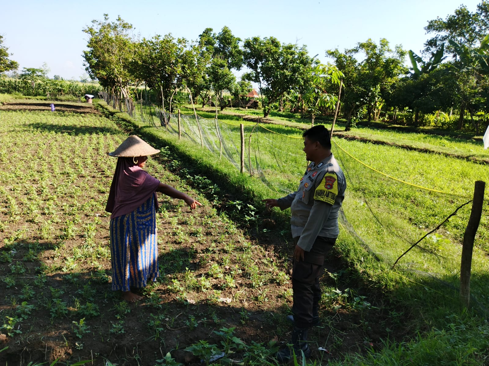 Polri di Lombok Barat Galakkan Ketahanan Pangan Skala Rumah Tangga (1) Polri di Lombok Barat Galakkan Ketahanan Pangan Skala Rumah Tangga