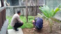 Polsek Lembar Gencarkan Edukasi Swasembada Pangan di Tingkat Desa (3) Polsek Lembar Gencarkan Edukasi Swasembada Pangan di Tingkat Desa