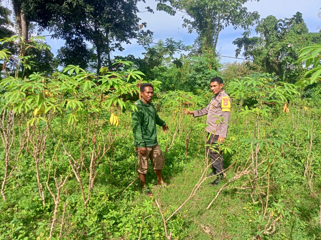 WhatsApp Image 2025-06-02 at 13.18.56