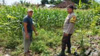 WhatsApp Image 2025-06-14 at 11.52.20 (1) Polres Lombok Barat Dorong Ketahanan Pangan Desa Jembatan Gantung