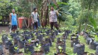 WhatsApp Image 2025-06-21 at 12.11.10 Sinergi Polri dan Warga Batulayar untuk Pekarangan Bergizi