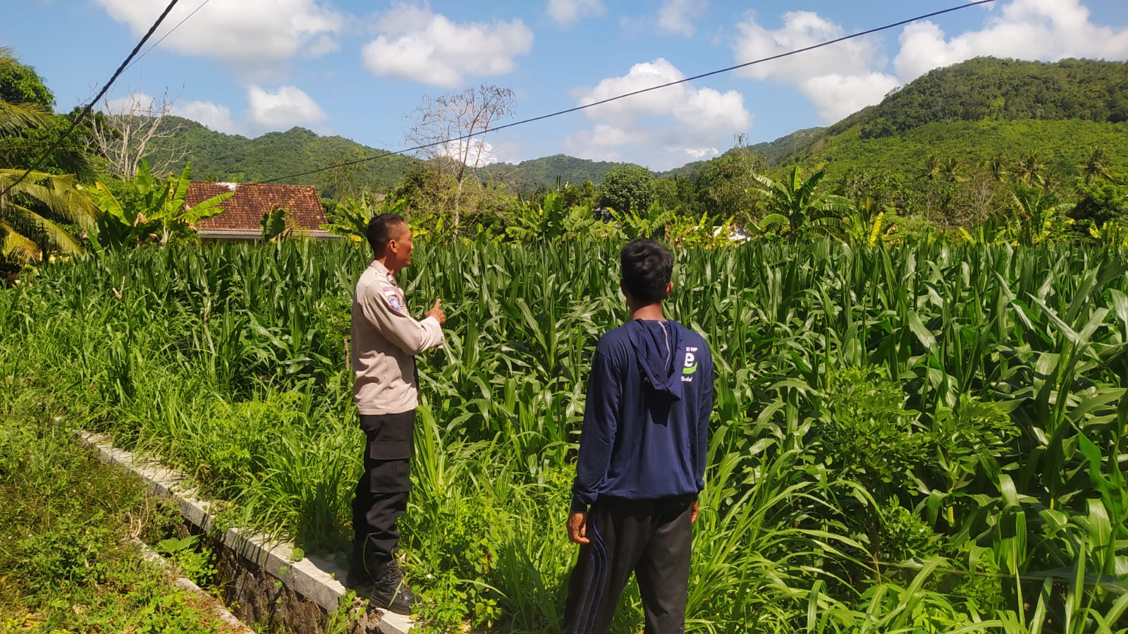6. Polri Dampingi Petani di Desa Batu Putih (3) Polri Dampingi Petani di Desa Batu Putih