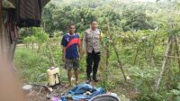 Bhabinkamtibmas Babussalam Dorong Warga Tanam Sayur untuk Ketahanan Pangan (1) Bhabinkamtibmas Babussalam Dorong Warga Tanam Sayur untuk Ketahanan Pangan