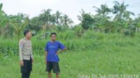 Bhabinkamtibmas Cendi Manik Dorong Ketahanan Pangan Lewat Kunjungan ke Petani (3) Bhabinkamtibmas Cendi Manik Dorong Ketahanan Pangan Lewat Kunjungan ke Petani