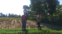 Bhabinkamtibmas Desa Jagaraga Dorong Kemandirian Pangan dari Pekarangan Warga (1) Bhabinkamtibmas Desa Jagaraga Dorong Kemandirian Pangan dari Pekarangan Warga