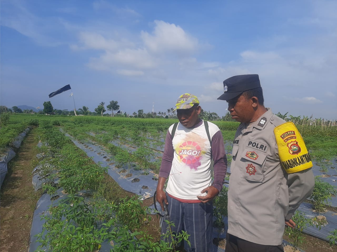 Bhabinkamtibmas Montong Are Dorong Swasembada Pangan di Kediri Lombok Barat (1) Bhabinkamtibmas Montong Are Dorong Swasembada Pangan di Kediri Lombok Barat
