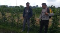 Ketahanan Pangan Dimulai dari Desa, Inisiatif Bhabinkamtibmas di Dusun Beremi Kuripan (1) Ketahanan Pangan Dimulai dari Desa, Inisiatif Bhabinkamtibmas di Dusun Beremi Kuripan