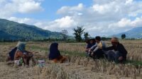 Kolaborasi Polisi dan Warga Babussalam Perkuat Swasembada Pangan (1) Kolaborasi Polisi dan Warga Babussalam Perkuat Swasembada Pangan