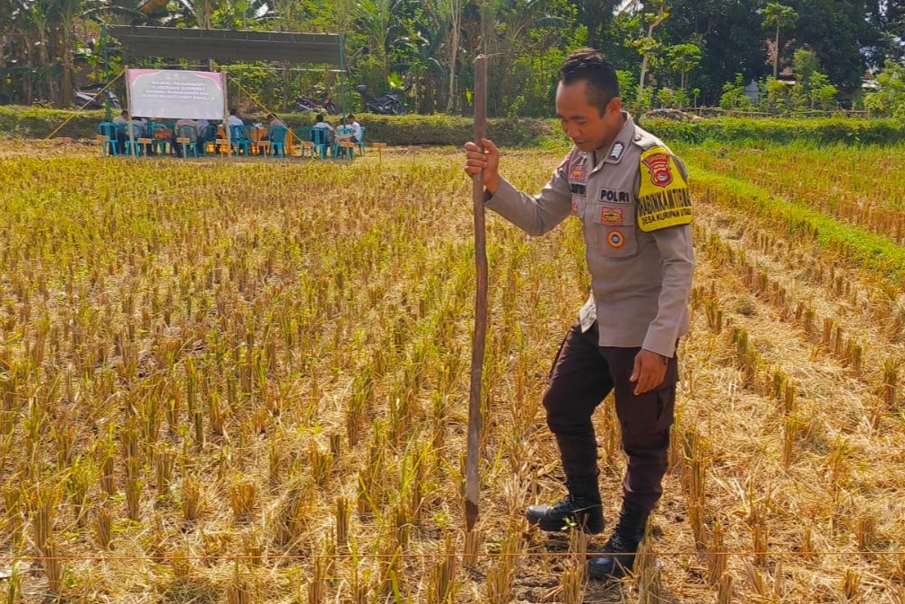 Kunjungan Bhabinkamtibmas Kuripan Utara, Ajak Petani Dukung Ketahanan Pangan Nasional (3) Kunjungan Bhabinkamtibmas Kuripan Utara, Ajak Petani Dukung Ketahanan Pangan Nasional