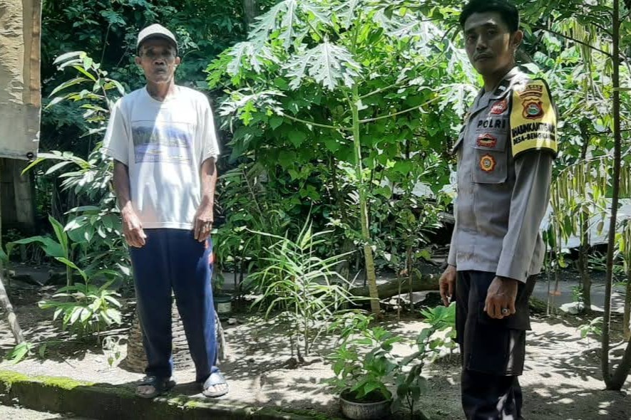 Pekarangan Bergizi, Inovasi Ketahanan Pangan dari Desa Bengkaung (1) Batulayar Tunjukkan Peran Aktif Warga dalam Ketahanan Pangan Lokal