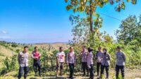 Polres Lombok Barat Dampingi Polda NTB Tinjau Lahan Jagung di Sekotong (3) Polres Lombok Barat Dampingi Polda NTB Tinjau Lahan Jagung di Sekotong