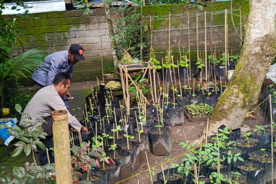 Polri Dorong Ketahanan Pangan dari Pekarangan Warga Kuripan Utara (3) Polri Dorong Ketahanan Pangan dari Pekarangan Warga Kuripan Utara