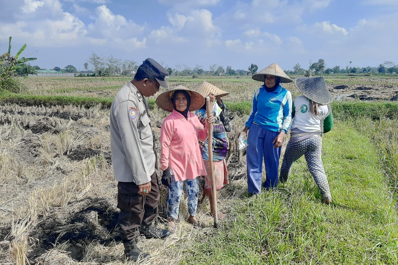 Polri Dukung Swasembada Pangan, Bhabinkamtibmas Montong Are Gandeng Petani Tingkatkan Ketaha ( Polri Dukung Swasembada Pangan, Bhabinkamtibmas Montong Are Gandeng Petani