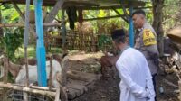 Polsek Batulayar Dorong Ketahanan Pangan Warga Senggigi melalui Edukasi Pertanian (1) Polsek Batulayar Dorong Ketahanan Pangan Warga Senggigi melalui Edukasi Pertanian