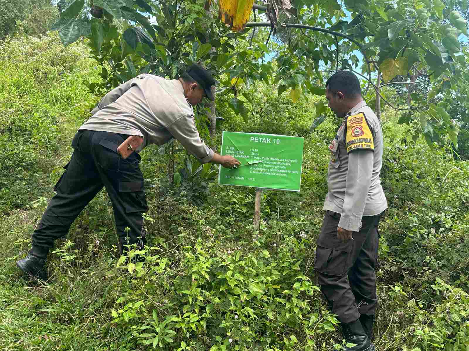Sinergi Ketahanan Pangan di Lembar, Tinjauan Kapolsek pada HKM (5) Hutan Lendang Damai Disiapkan untuk Pertanian Polikultur di Lombok Barat