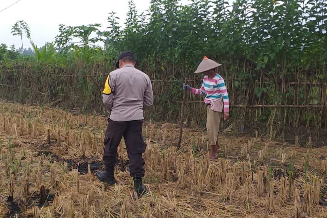Sinergi Polri dan Warga Jagaraga Kembangkan Ketahanan Pangan Keluarga (3) Sinergi Polri dan Warga Jagaraga Kembangkan Ketahanan Pangan Keluarga