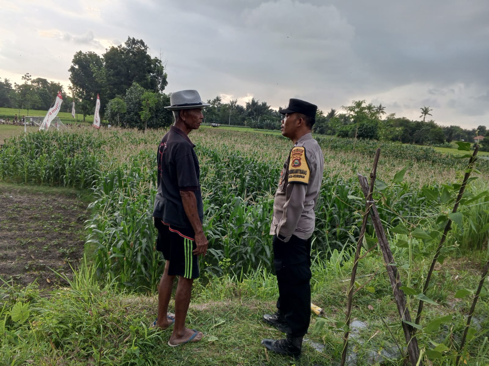 Sinergi Polri dan Warga Kuripan Perkuat Ketahanan Pangan Lokal (1) Polri Bina Petani Kuripan Utara Wujudkan Kemandirian Pangan Keluarga