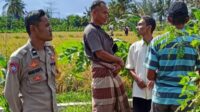 WhatsApp Image 2025-07-20 at 11.08.08 (1) Peran Polisi di Tengah Sawah: Ketahanan Pangan Dimulai dari Dusun Rumak Barat
