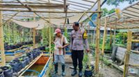 Bhabinkamtibmas Ajak Warga Dusun Tempit Tanam Sayur di Pekarangan Rumah (3) Bhabinkamtibmas Ajak Warga Dusun Tempit Tanam Sayur di Pekarangan Rumah