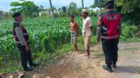 Polres Lobar Kawal Petani Wujudkan Ketahanan Pangan Nasional (1) Polres Lobar Kawal Petani Wujudkan Ketahanan Pangan Nasional