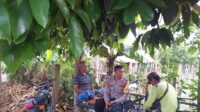 Inisiatif Ketahanan Pangan, Polisi Ajak Petani Desa Jagaraga Optimalkan Lahan Pekarangan (1) Inisiatif Ketahanan Pangan, Polisi Ajak Petani Desa Jagaraga Optimalkan Lahan Pekarangan