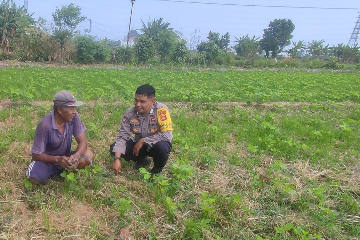 Sinergi Polri dan Warga Kuranji Dorong Desa Mandiri Pangan (1) Sinergi Polri dan Warga Kuranji Dorong Desa Mandiri Pangan