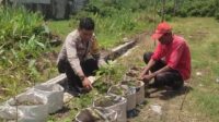 WhatsApp Image 2025-09-17 at 09.01.18 Sinergi Polsek Labuapi dan Warga Mapak Reong Dorong Pemanfaatan Pekarangan Produktif