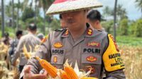 cdb05087-460e-4e4e-8116-13a3710d5f17