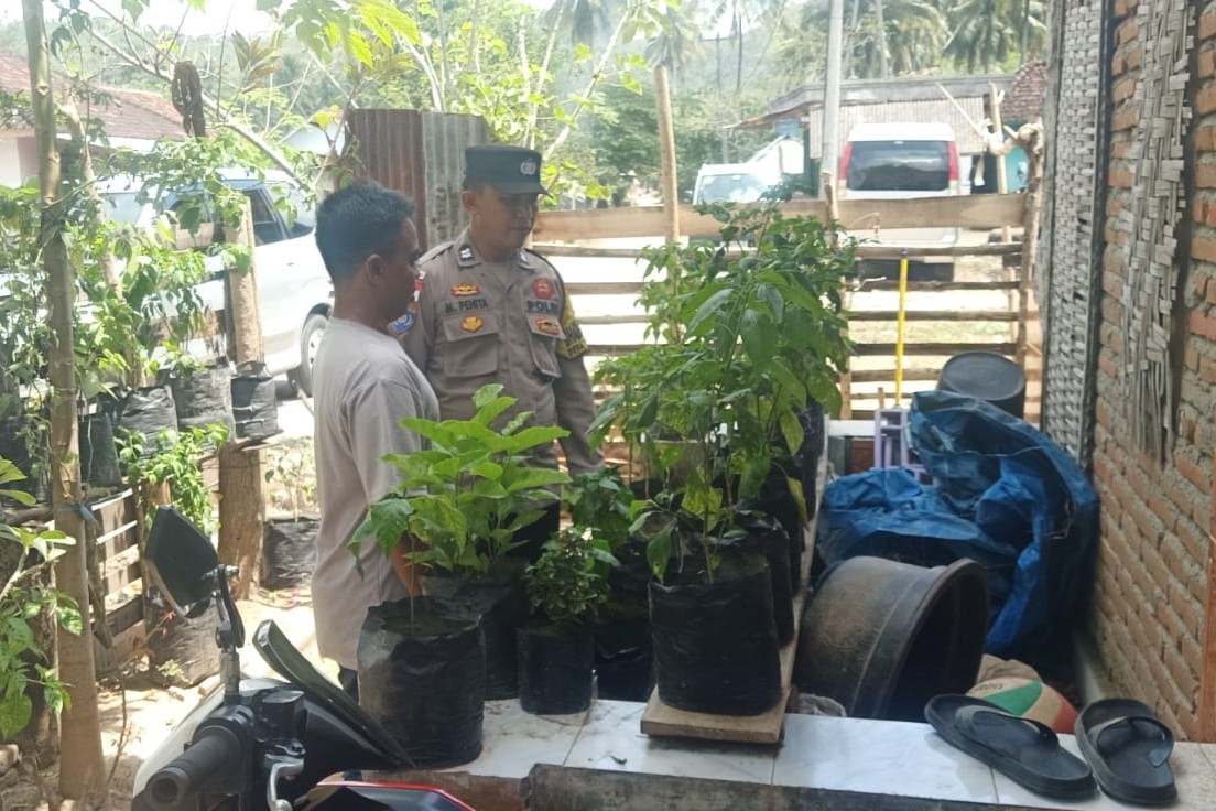 WhatsApp Image 2025-10-02 at 11.52.20 (1) Sinergi Polri dan Masyarakat Sekotong Perkuat Ketahanan Pangan dan Kamtibmas