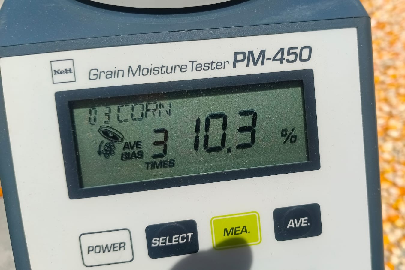 WhatsApp Image 2025-10-02 at 14.30.18 Jagung Desa Beleka dengan Kadar Air 10,3 KA Siap Serap Bulog NTB
