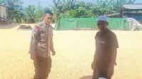 WhatsApp Image 2025-10-24 at 11.41.47 (2)_result Sinergi Polisi dan Petani Jaga Pasokan Jagung di Lombok Barat