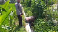 WhatsApp Image 2025-10-24 at 15.38.19_result Petani Jagaraga Didorong Polri Tanam Padi dan Jagung untuk Pangan Lokal